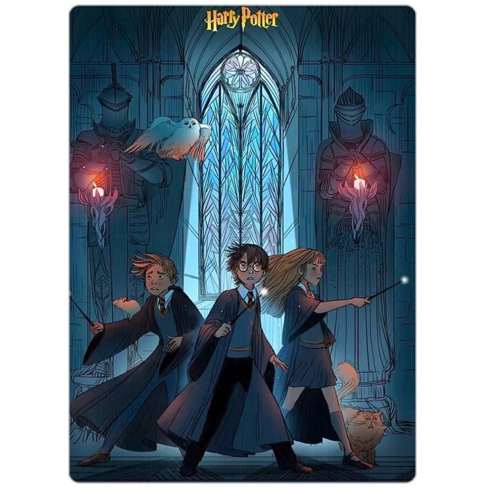 Harry Potter Hermione Magnet - Picture 3 of 4